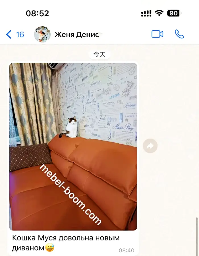 Кошка Муся одобрила!